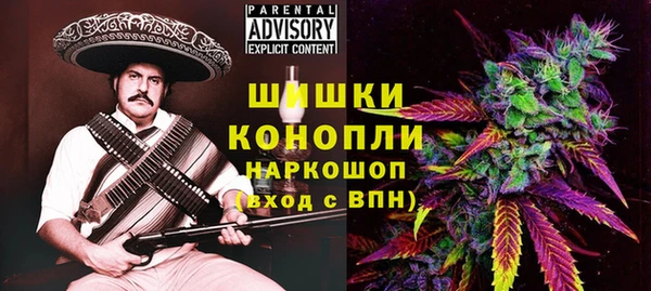 МДПВ Горнозаводск