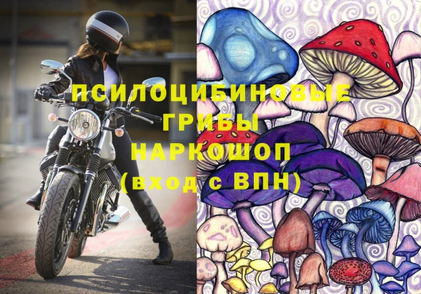 МДПВ Горнозаводск